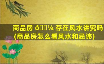 商品房 🐼 存在风水讲究吗(商品房怎么看风水和忌讳)